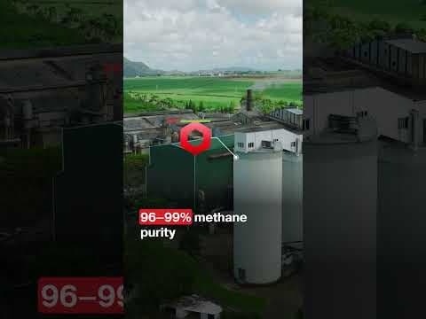 Bio-CNG Purification Systems | VPSA, PSA, Membrane and Amine Scrubbing | Thermax Ne0