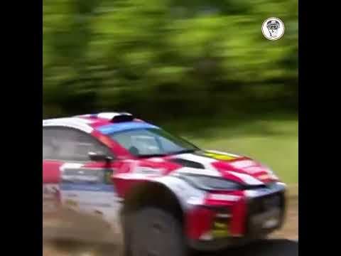 MRF | Hungary Rally
