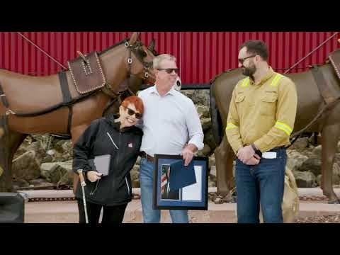 20 Mule Team wagon restoration | U.S. Borax