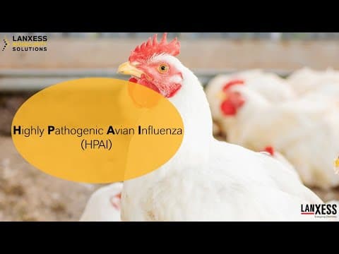 Highly Pathogenic Avian Influenza (US Outbreak 04/2024)