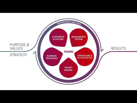 Operating Model