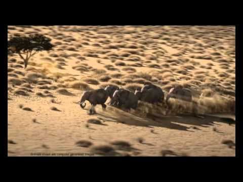 Tata Motors: T1 Truck Racing