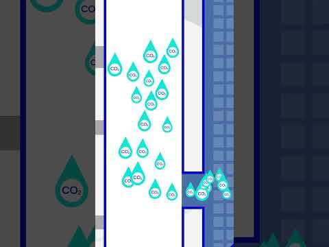 🌍 How Carbon Capture Works | CCS & CCUS Explained 🌍 #innovation
