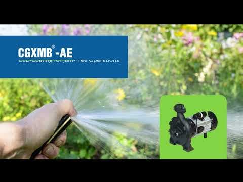 CG's Centrifugal Monoblock Pump Video