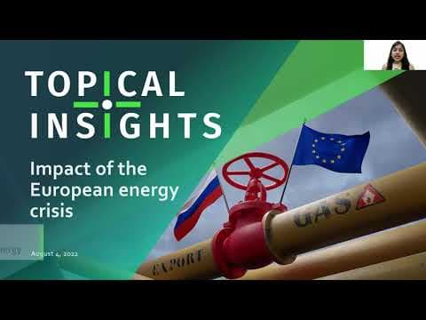 Impact of the European Energy Crisis