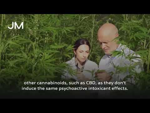 Johnson Matthey Ultra Pure Synthetic Cannabidiol