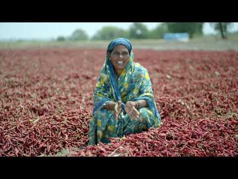 Project AgriNext: Empowering Farmers, Growing a Sustainable Future