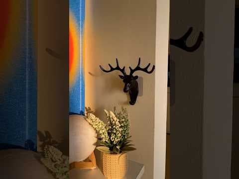 Snapdeal | Home Decor | Shop Now