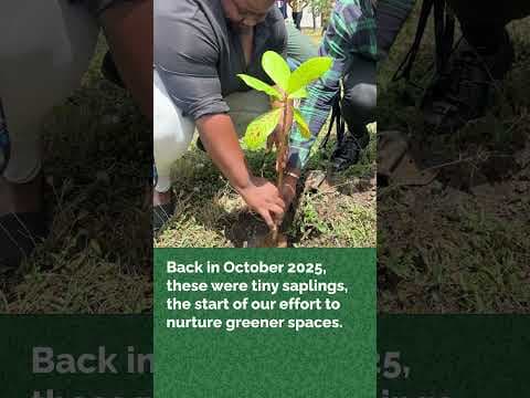 Then vs Now | Growing a Greener Future at HGS