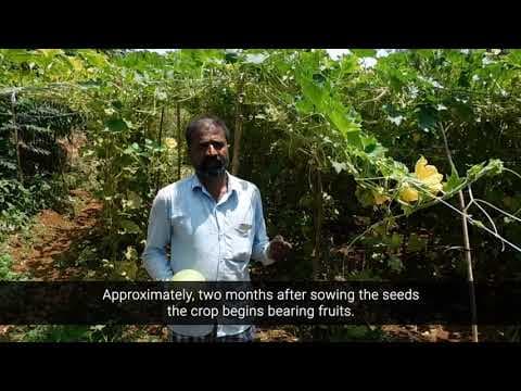 Cybage CSR Success Stories | Shivaji Gyanba Shinde