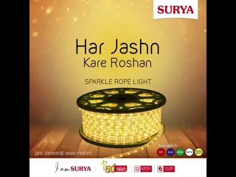 With Surya Sparkle Rope Light, every celebration shines a little brighter.