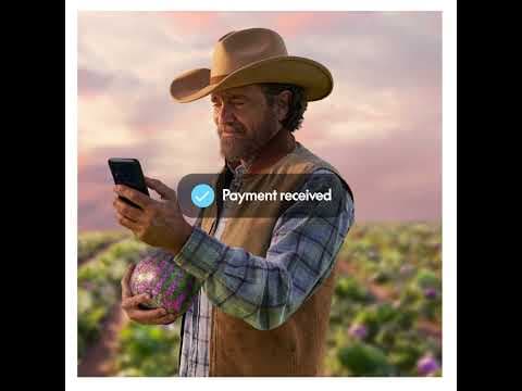 Take your business to the next level with PayPal Open