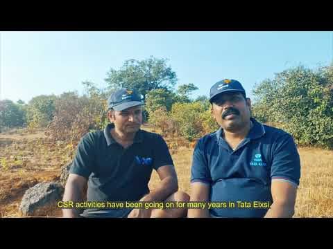 Revitalizing Forests in the Koyna-Chandoli Corridor - Tata Elxsi's CSR Activity