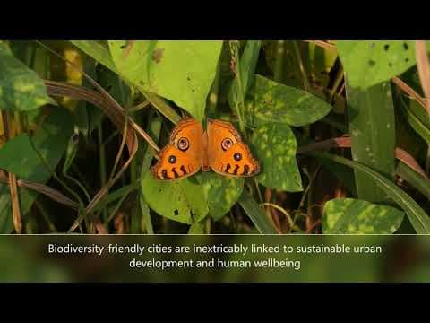 #Biodiversity - An Important Design Element in Projects by #TataConsultingEngineers (#TCE)