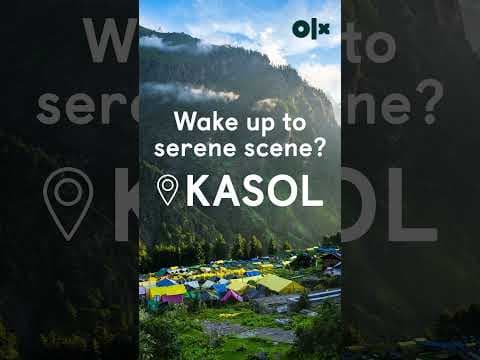 Discover the world with OLX Tour and Travel Services