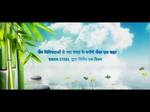 Tata Steel | An Urban Biodiversity Oasis (Hindi)