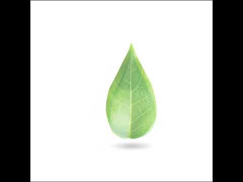 World Water Day 2025