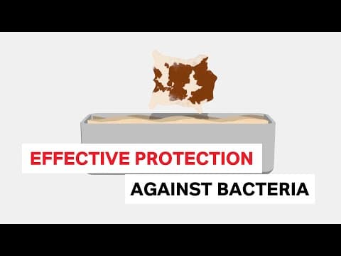 Biocides for soaking: Effective protection against bacteria