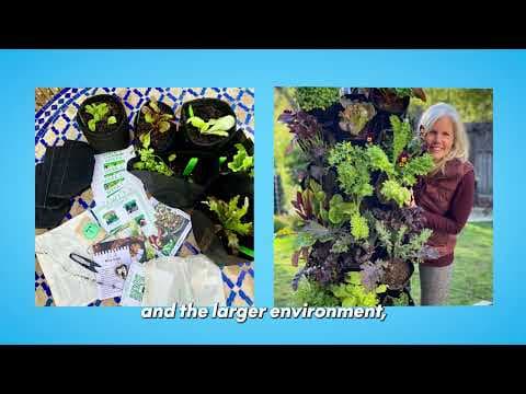 Planted Places x PayPal
