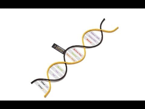 LANXESS Biosecurity Solutions - Discover our new LBS brand