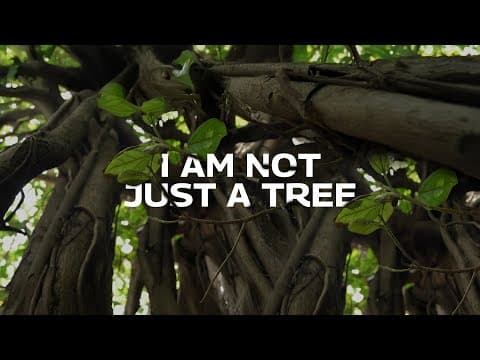 World Environment Day 2025 | Not Just A Tree | Rise For A More Equal World