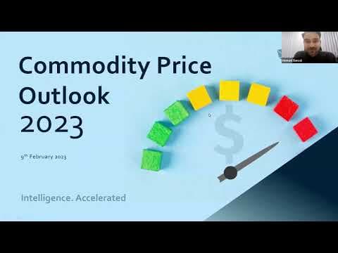 Commodity Price Outlook 2023