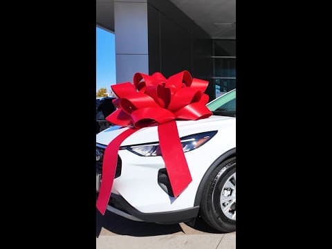Want to buy a car? We have tips…