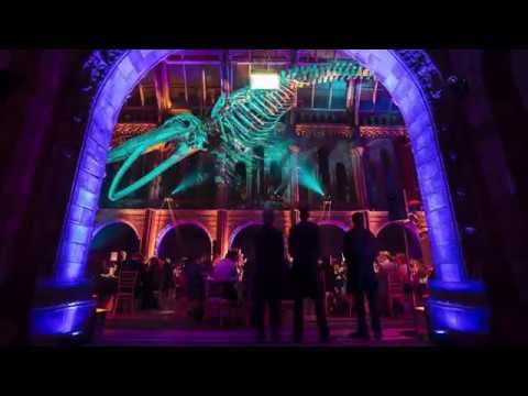 JM Awards: Time-lapse at Natural History Museum