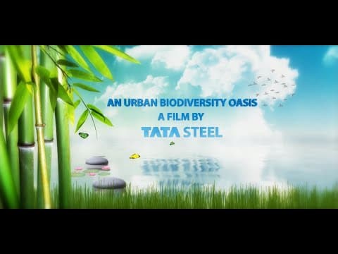 Tata Steel | An Urban Biodiversity Oasis