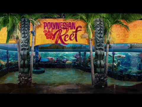 Oklahoma Aquarium Graphics by Riot Creative Imaging
