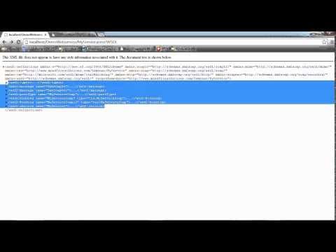 Seminar on Web Service Basics