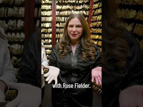 Cupcakes with Kupcho Reels | PING Gold Putter Vault