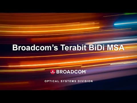 Terabit BiDi MSA