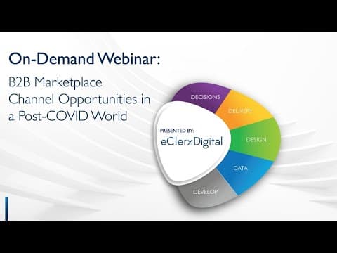 Post-COVID B2B Marketplace Strategies: Webinar Insights