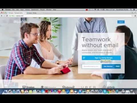 Asana Project Management Tool