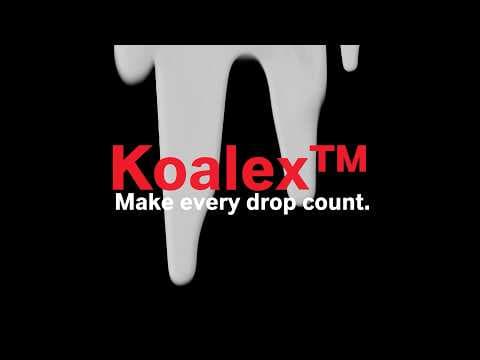 Meet Koalex™