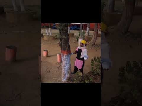 Tata Steel | Samvaad 2024 | Celebrating Tribal Heritage