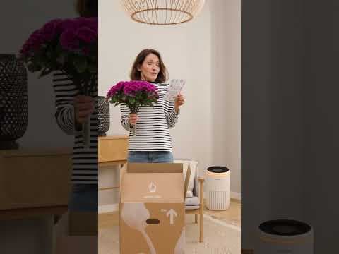 Ready, whenever you need it – our Bosch air purifier
