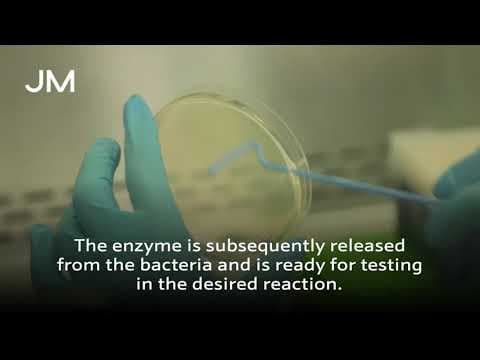 Enzymes are the accelerators of the natural world.