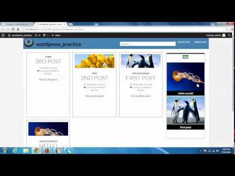 WordPress Plug-in: MFS Post Viewer Demo