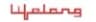 Lifelong India Ltd.