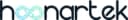 Hoonar Tekwurks Consulting LLP