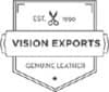 Vision Exports