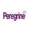 Peregrine Guarding