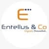Entellus & Co