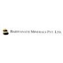 Baidyanath Minerals Pvt Ltd