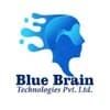 Blue Brain Technologies Pvt. Ltd.