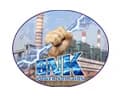 BNK power solution Pvt Ltd