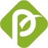 Pragma Softwares logo