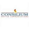 consilium software inc